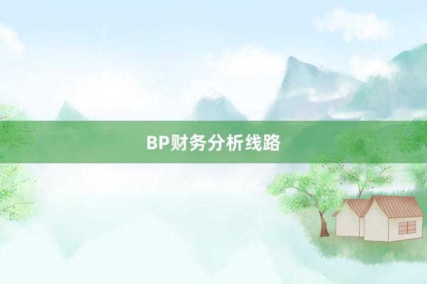 BP财务分析线路
