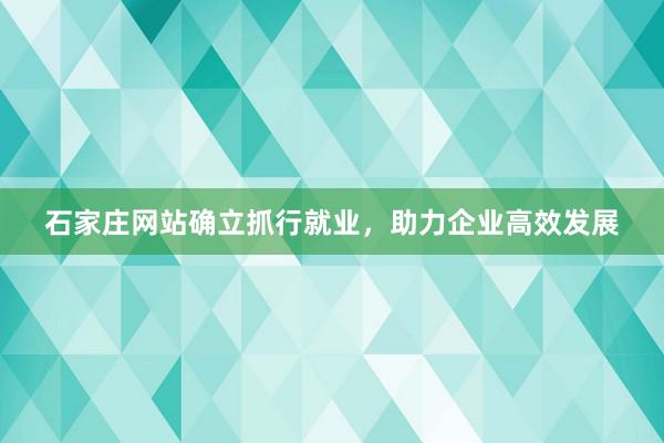 石家庄网站确立抓行就业，助力企业高效发展