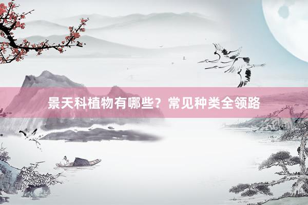景天科植物有哪些？常见种类全领路